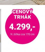 Skříň šířka cca 170 cm