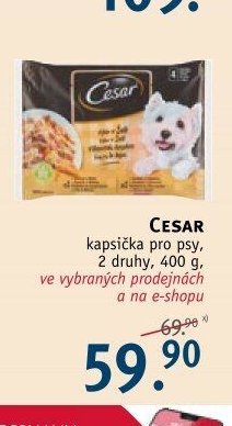 CESAR kapsička pro psy