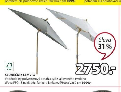 SLUNEČNÍK LEMVIG