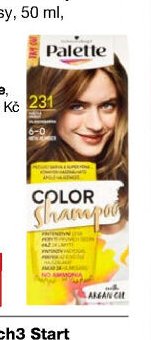 Palette Color Shampoo