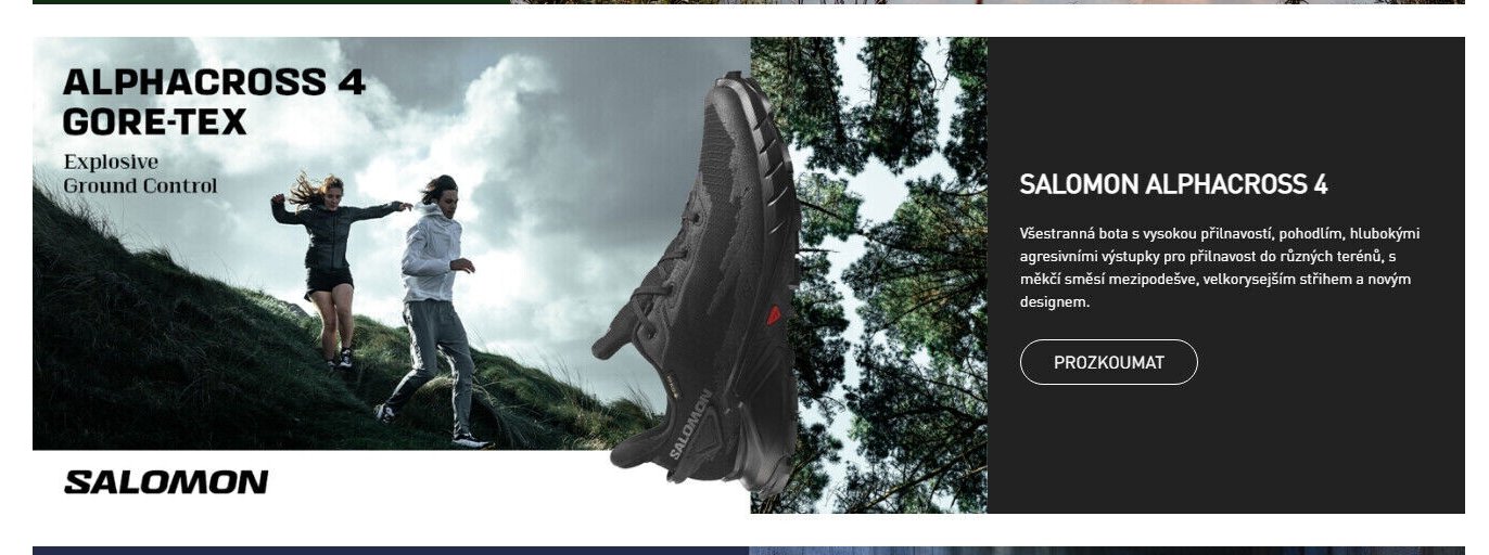 Salomon Alphacross 4 Gore-Tex