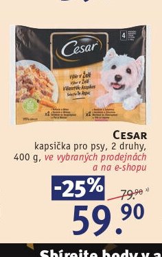 CESAR kapsička pro psy