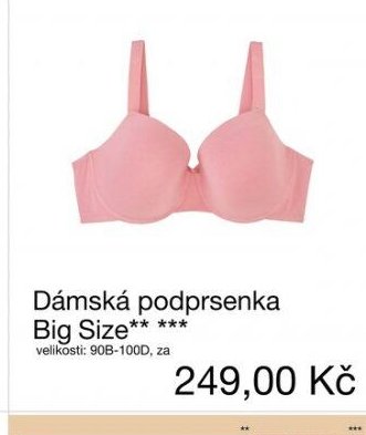 Dámská podprsenka Big Size