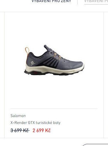 Salomon X-Render GTX turistické boty