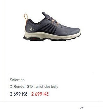 Salomon X-Render GTX turistické boty