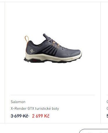 Salomon X-Render GTX turistické boty