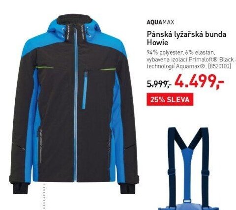 Pánská lyžařská bunda Howie