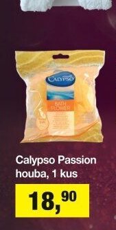 Calypso Passion houba, 1 kus
