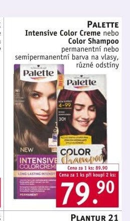 PALETTE Intensive Color Creme nebo Color Shampoo