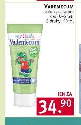 VADEMECUM zubní pasta