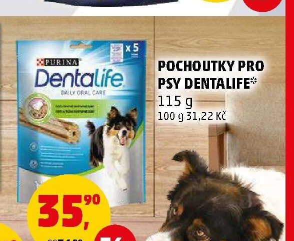POCHOUTKY PRO PSY DENTALIFE - Penny Market aktualniletaky.eu