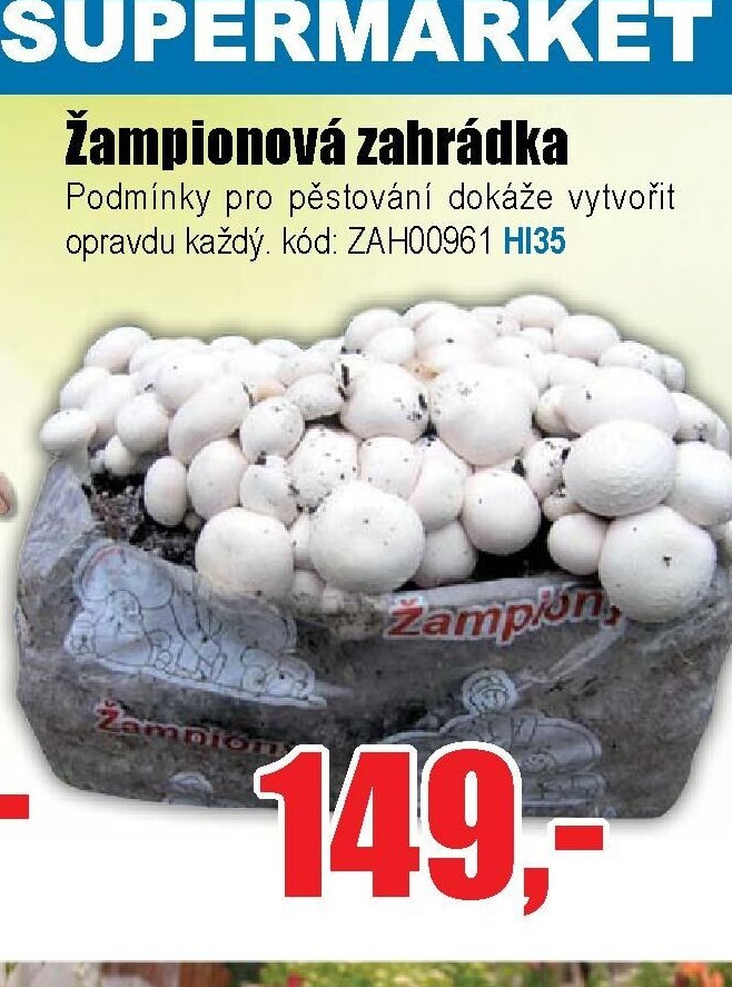 Žampionová zahrádka - EVA.cz aktualniletaky.eu