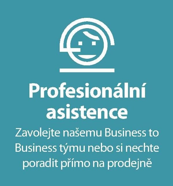 Profesionální asistence