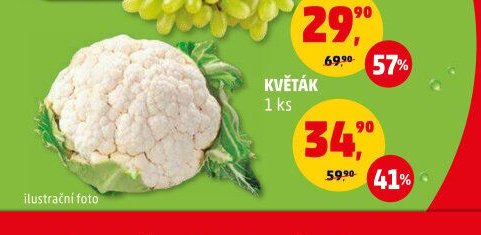KVĚTÁK - Penny Market aktualniletaky.eu