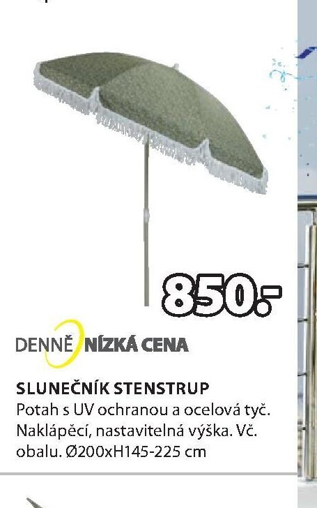 SLUNEČNÍK STENSTRUP