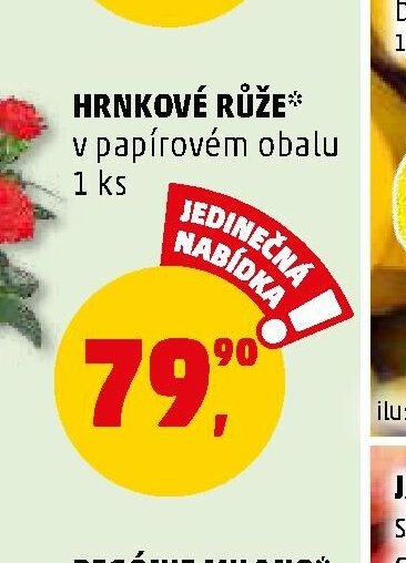 HRNKOVÉ RŮŽE - Penny Market aktualniletaky.eu