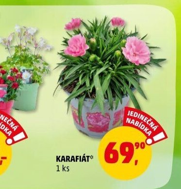 KARAFIÁT* - Penny Market aktualniletaky.eu