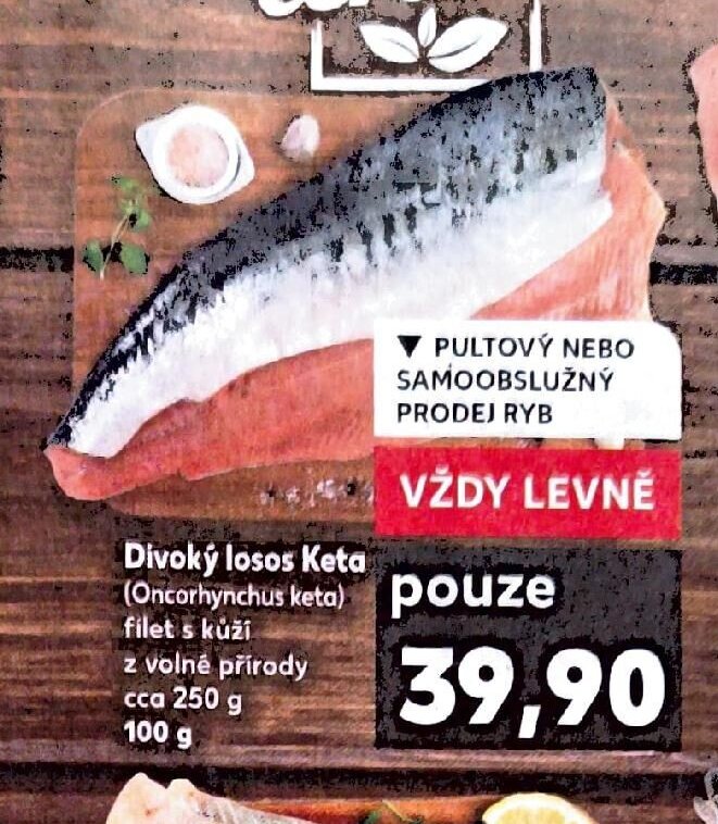 Divoký losos Keta