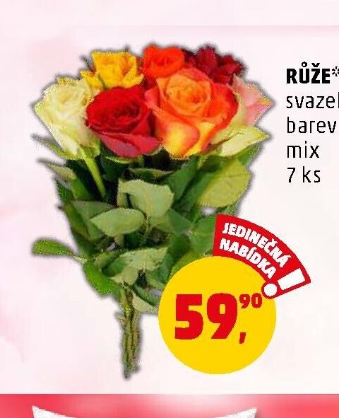 RŮŽE svazek barevný mix - Penny Market aktualniletaky.eu