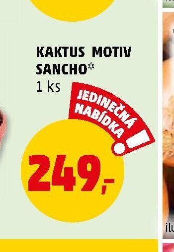 KAKTUS MOTIV SANCHO* - Penny Market aktualniletaky.eu