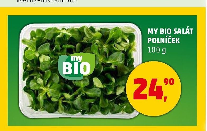 MY BIO SALÁT POLNÍČEK - Penny Market aktualniletaky.eu