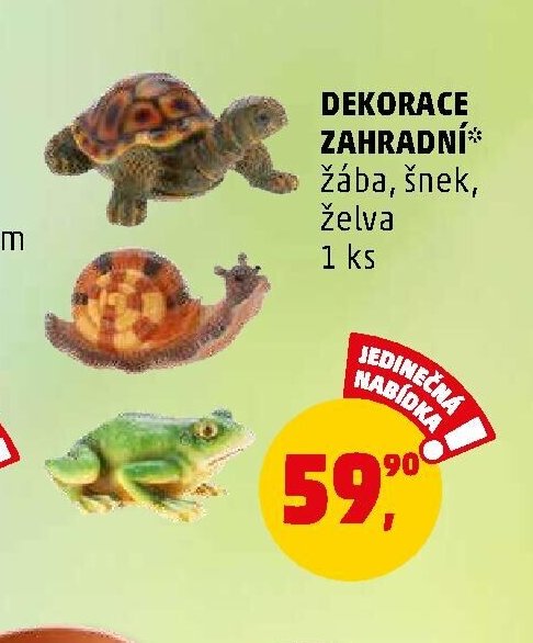 DEKORACE ZAHRADNÍ - Penny Market aktualniletaky.eu