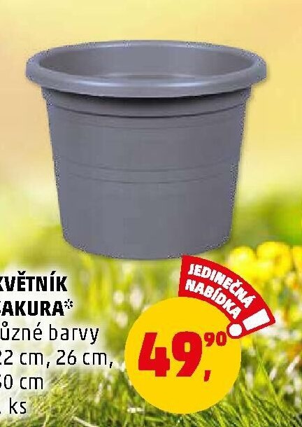 OPĚRA NA RAJČATA - Penny Market aktualniletaky.eu