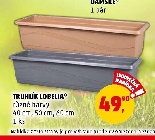 TRUHLÍK LOBELIA - Penny Market aktualniletaky.eu