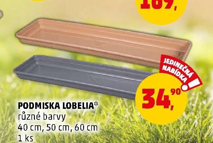 PODMISKA LOBELIA - Penny Market aktualniletaky.eu