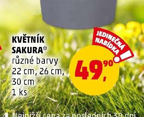 KVĚTNÍK SAKURA - Penny Market aktualniletaky.eu