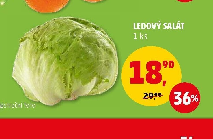 LEDOVÝ SALÁT 1 ks - Penny Market aktualniletaky.eu