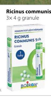 Ricinus communis 5 CH 3x 4 g granule