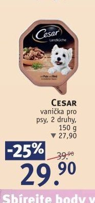 CESAR vanička pro psy