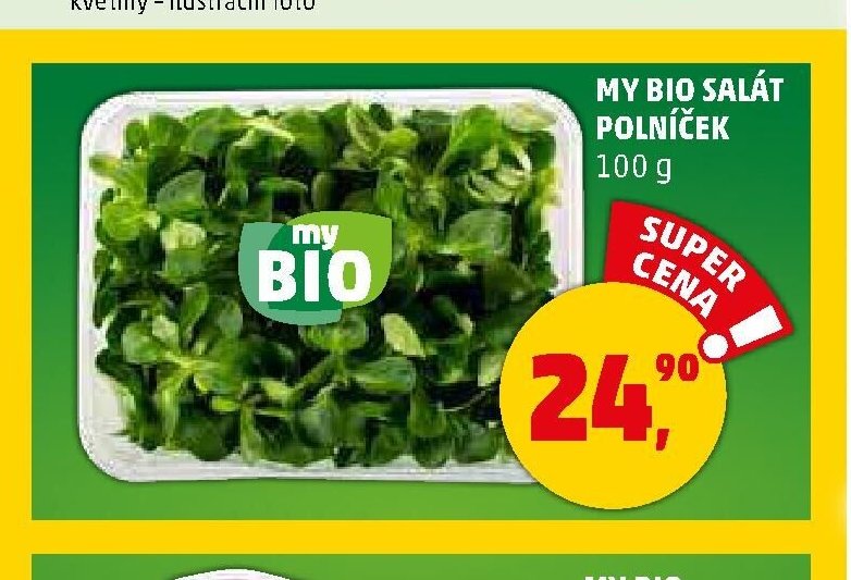 MY BIO SALÁT POLNÍČEK - Penny Market aktualniletaky.eu