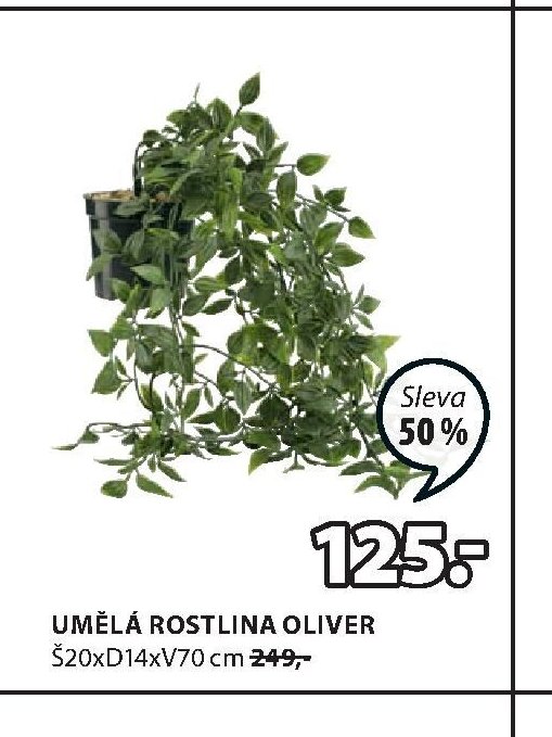 UMĚLÁ ROSTLINA OLIVER