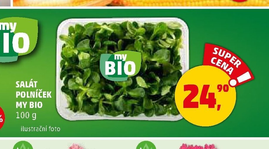 SALÁT POLNÍČEK MY BIO - Penny Market aktualniletaky.eu