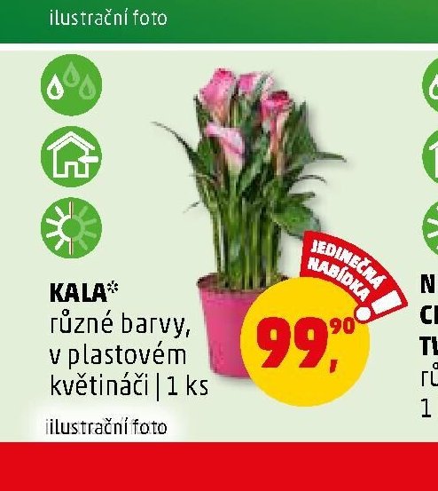 KALA - Penny Market aktualniletaky.eu