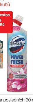 Domestos WC gel