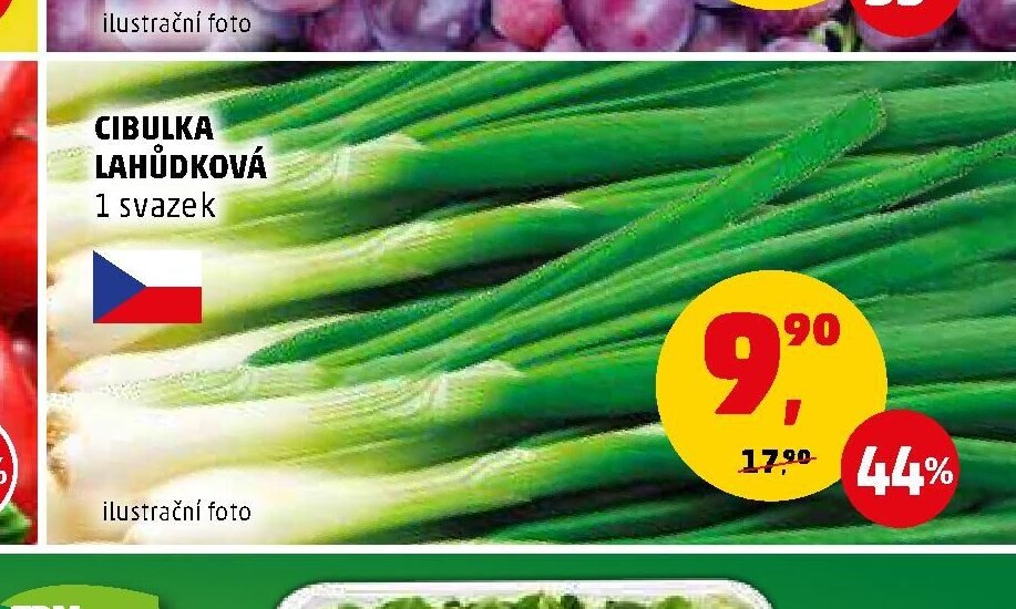 CIBULKA LAHŮDKOVÁ - Penny Market aktualniletaky.eu