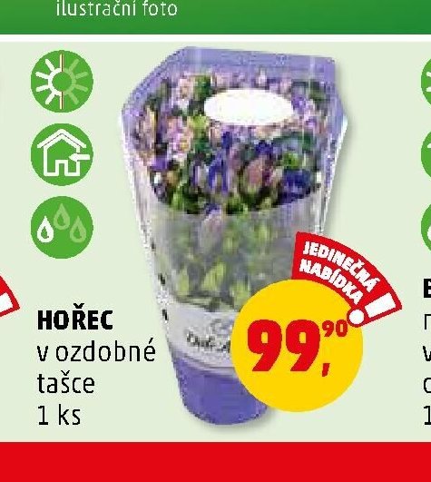 HOŘEC - Penny Market aktualniletaky.eu