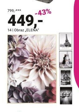 Obraz ELENA