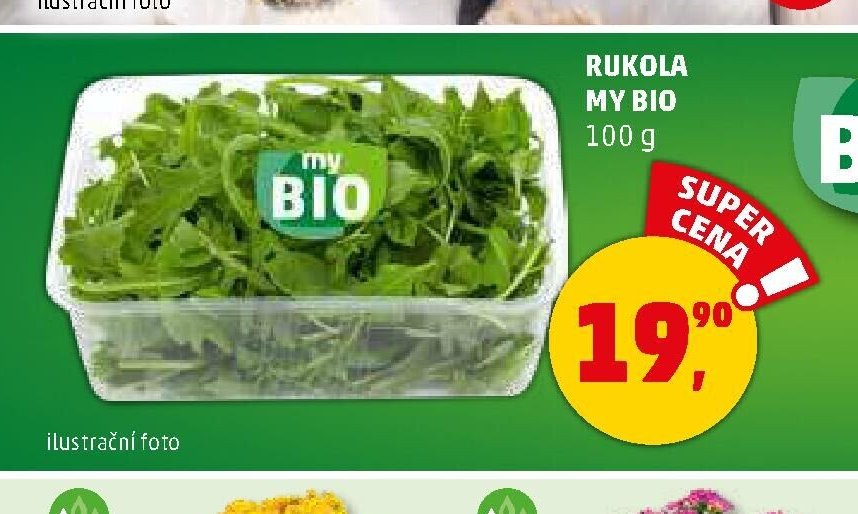 Rukola My Bio - Penny Market aktualniletaky.eu