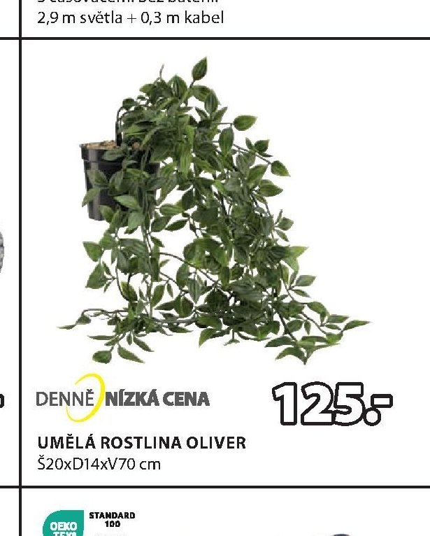 UMĚLÁ ROSTLINA OLIVER