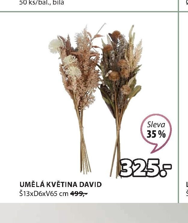 UMĚLÁ KVĚTINA DAVID