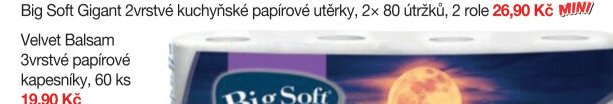 Big Soft Gigant 2vrstvé kuchyňské papírové utěrky, 2x 80 útržků, 2 role