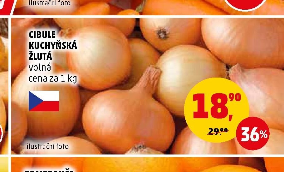 CIBULE KUCHYŇSKÁ ŽLUTÁ volná - Penny Market aktualniletaky.eu