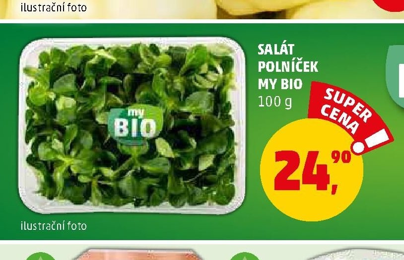SALÁT POLNÍČEK MY BIO - Penny Market aktualniletaky.eu