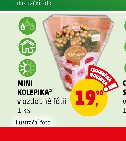 MINI KOLEPIJKA v ozdobné fólii - Penny Market aktualniletaky.eu
