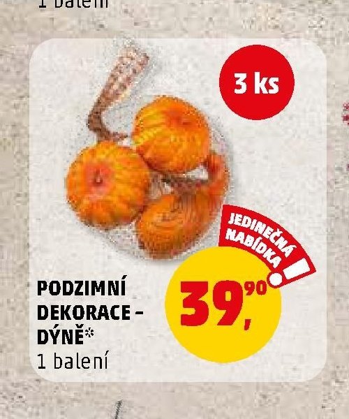 PODZIMNÍ DEKORACE - DÝNĚ - Penny Market aktualniletaky.eu