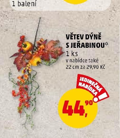 VĚTEV DÝNĚ S JEŘABINOU - Penny Market aktualniletaky.eu